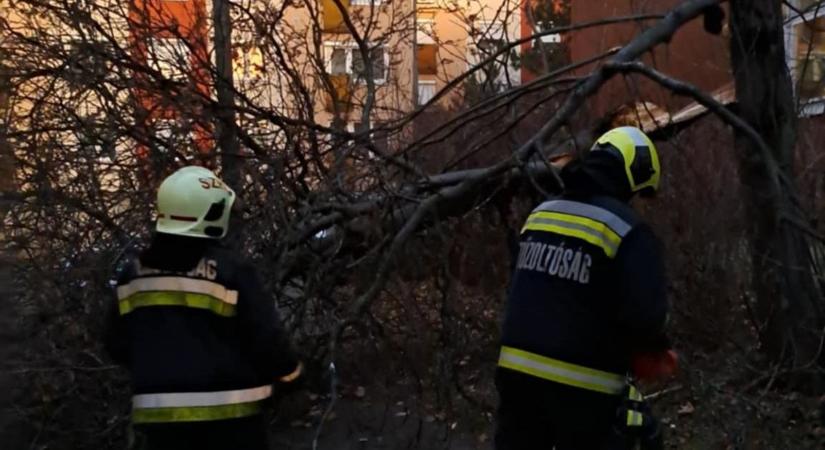 Brutális széllökések! Így tarolta le a vihar Szabolcs-Szatmár-Bereg vármegyét!