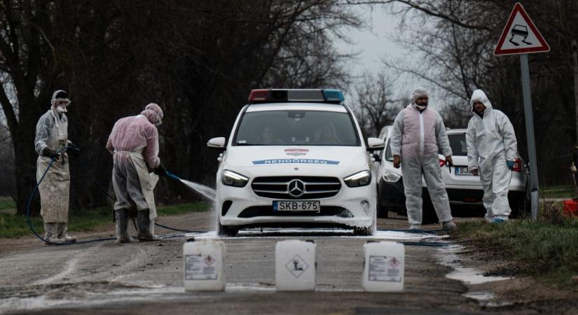 Bár a kisbajcsi marhákat már elföldelték, a száj- és körömfájásjárvány veszélyei még nem múltak el