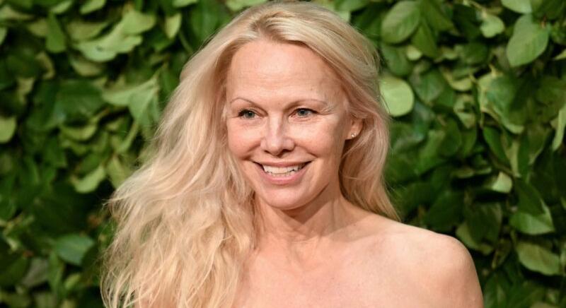 Pamela Anderson Mundruczó Kornél új filmjében fog szerepelni