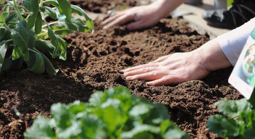 Allergiás kertészkedik – a pollenszezonok