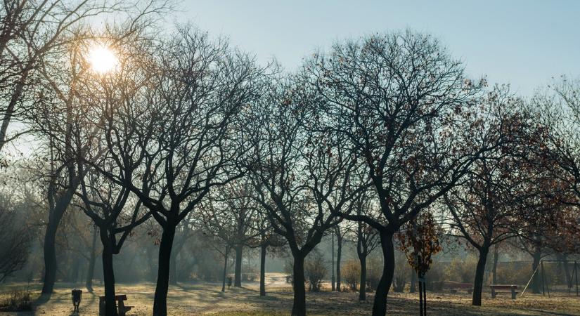 Végre itt a tavasz? Fordulat jön az időjárásban: mutatjuk, mire számíthatunk mától