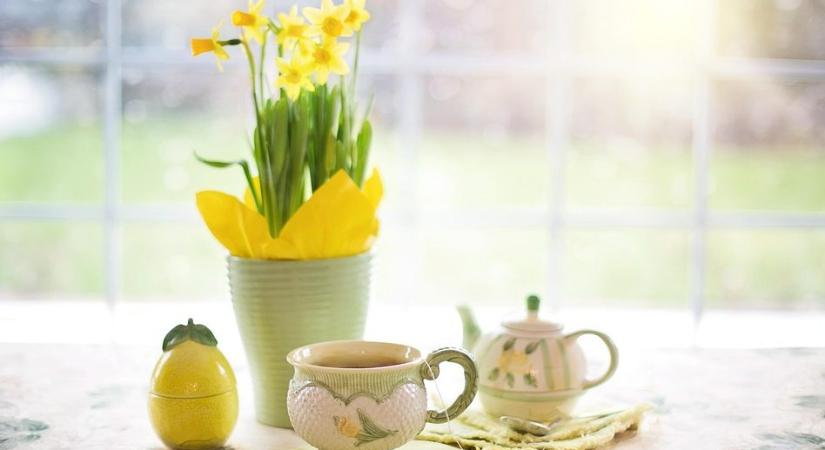 A teafőzés előnyei: segíthet kiszűrni a nehézfémeket