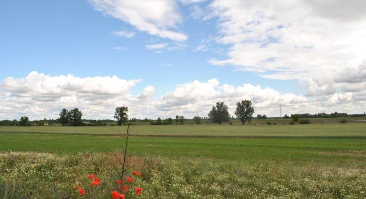 Elhangzott egy ígéret az AKG-döntések időpontjáról