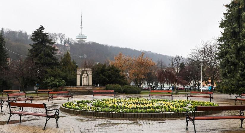 Balesettel indult a nap az Újgyőri főtéren