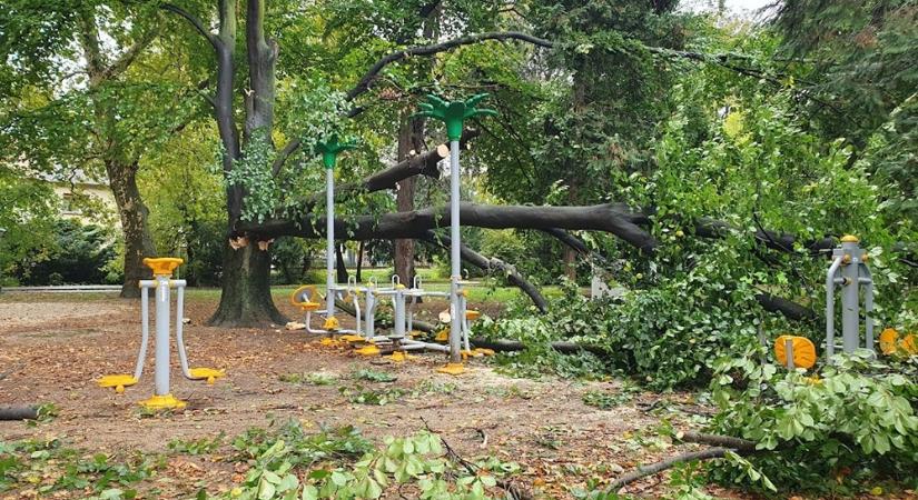 A szombathelyi Víztoronynál lévő fineszes park helyreállítására gyűjt a Joskar-Ola Alapítvány