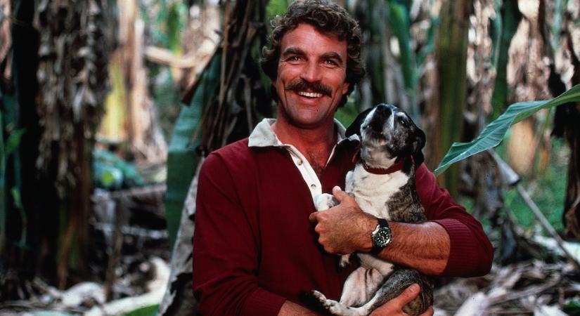 Nem kapunk levegőt: milyenné vált a kinézete Tom Selleck-nek? A Magnum jóképű sztárja felismerhetetlen most