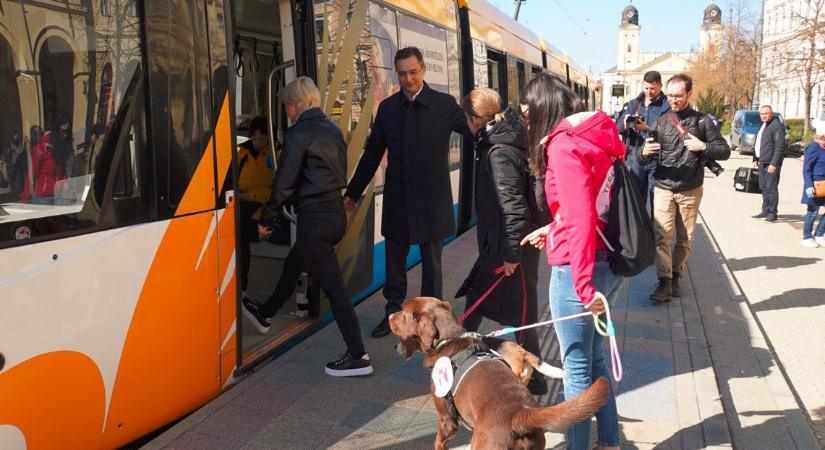 Kutyabaráttá vált a debreceni közösségi közlekedés