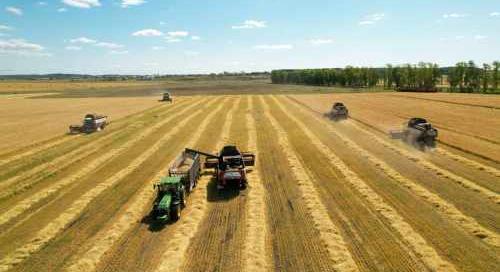 Mozgalmas éven van túl a magyar agrárium - Elkészült a NAK 2024-es jelentése