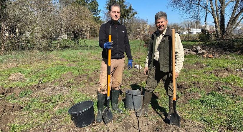 A klímavédelem magasiskolája: több mint 170 fát ültetett el saját háza közelében a háziorvos