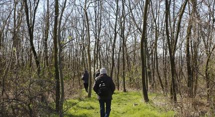 Parkerdővel gazdagodott Pécs – Újhegyen nyílt meg a kirándulók új útvonala