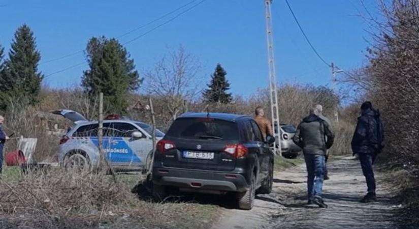 Horror: Bomló emberi fejet talált egy kutya Miskolcon