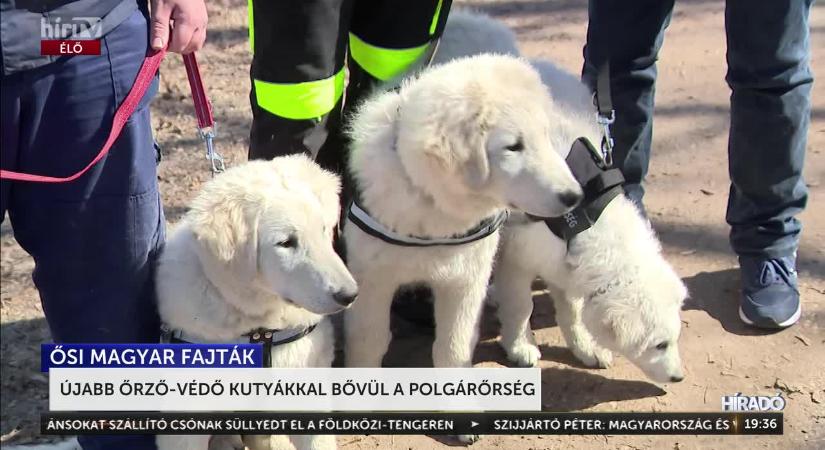 Négylábú kollégákkal bővült a Pilisvörösvári és Zuglói polgárőrség  videó