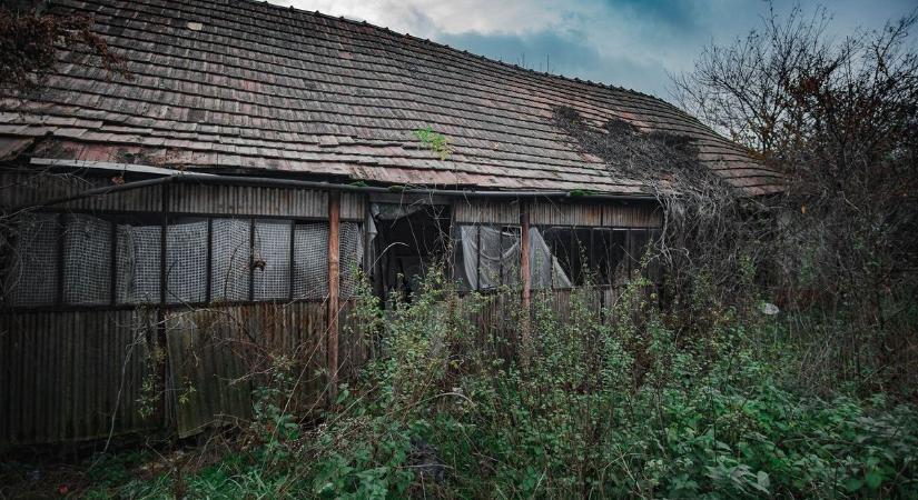 Kosz, lomok és elmúlás: döbbenetes képeken egy gyűjtögető hátrahagyott élete... (galéria)