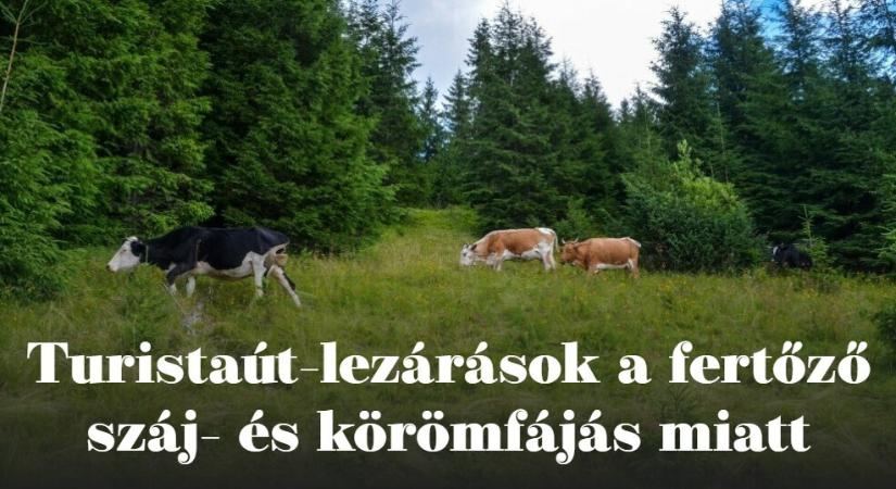 Aki hétvégére kirándulást tervez, nézzen utána a lezárásoknak!