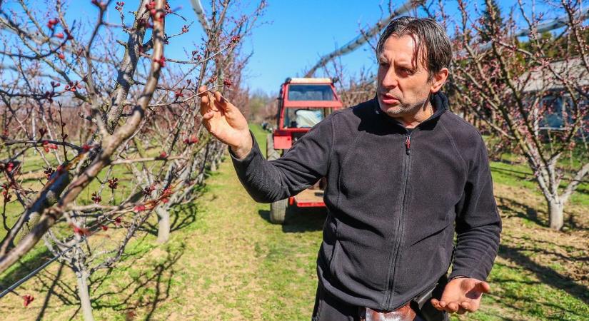 Drámai küzdelem a fagy ellen - videóval