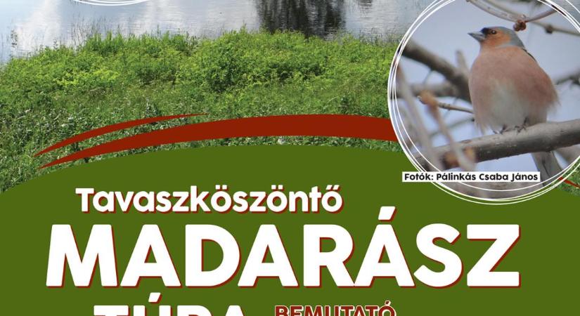 Tavaszköszöntő madarász túra és bemutató madárgyűrűzés Szolnokon