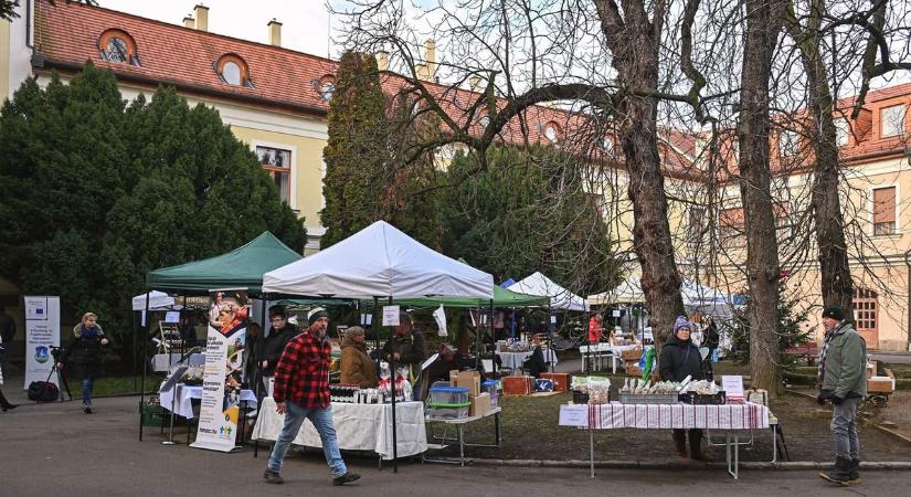 Rövidebb út a termelőtől a fogyasztóig: támogatás jár érte