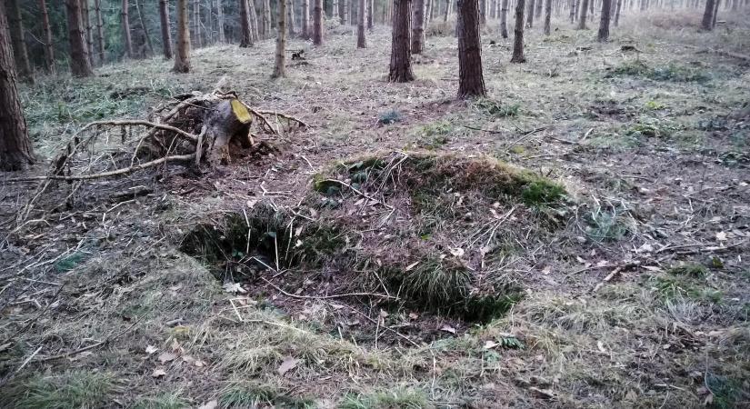 „Jobb, ha te végzel magaddal” Megásatta a sírját az orosz apa a lányát zaklató barátjával