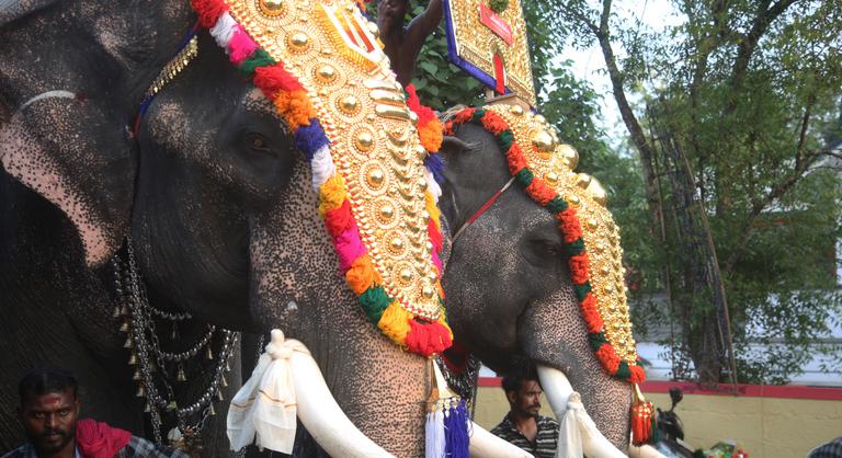 Állatvédelem és hagyománytisztelet: robotelefántok jönnek a hindu templomokba