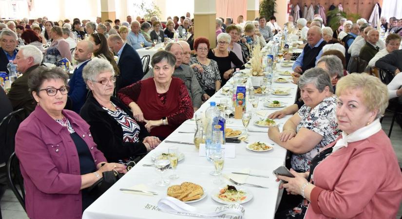 Mosonmagyaróvár térségének nyugdíjasai találkoztak – Képgaléria