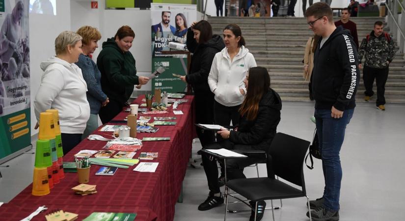 Bevált az egyetemi modellváltás, háromszor több a jelentkező