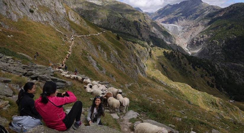 Eltűnnek a gleccserek, de egy közülük még megmenthető