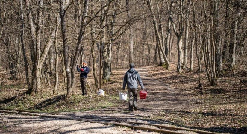 Több kilométer hosszan módosultak turistautak Felsőtárkány mellett