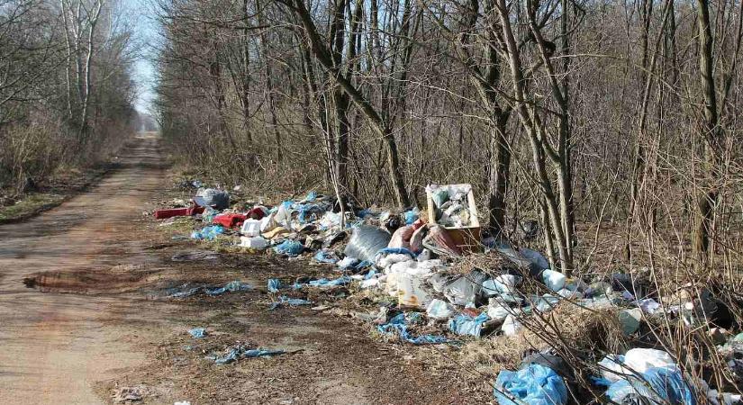 Csak a lábnyomod hagyd az erdőben! – indul a Tavaszi Nagytakarítás