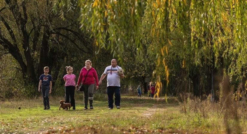 Sorra bújnak elő a napférgek Hevesben is, de jobb, ha békén hagyjuk őket