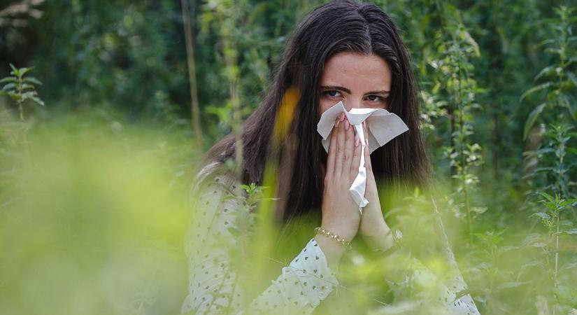 Allergiások figyelem! Kezdődik a tavaszi pollenszezon, minden harmadik magyar érintett!