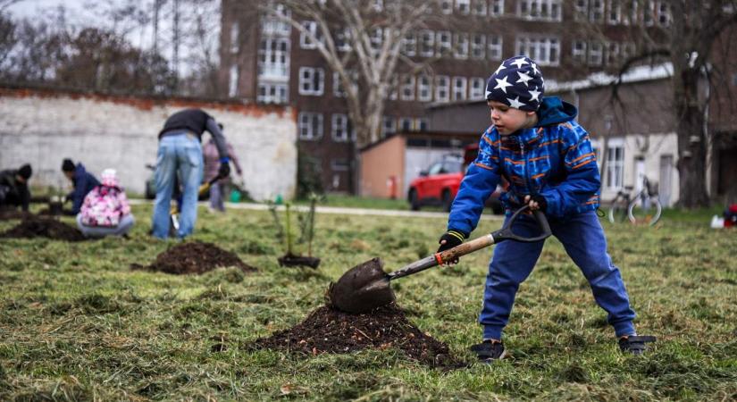 Még a legkisebbek is ásót ragadtak a szolnoki kórház udvarán – galériával