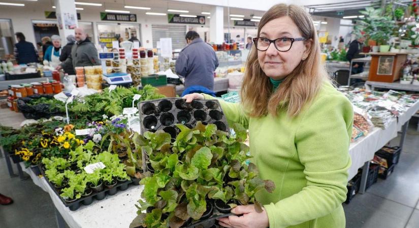 Megy a barka, jönnek a magyar tulipánok – Tettünk egy kört a szombathelyi Vásárcsarnokban - fotók