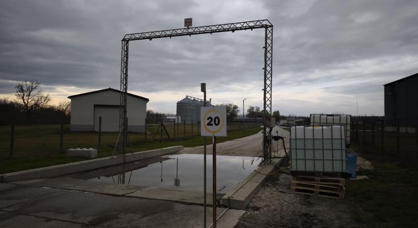 Félnek, hogy ők lesznek a következők: pánikban az állattartók