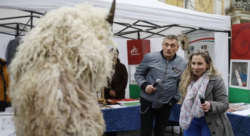 Még Sipos Peti szeme is elkerekedett: hangulatjelentés az Abonyi Pecsenye Parádéról