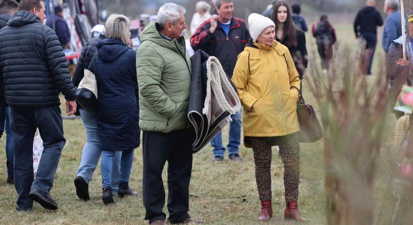 Egy óriási állat keltett nagy feltűnést a Tokaji Vásáron - képek, videó