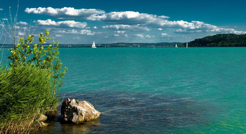 Óriási állatot videóztak a Balatonban, mindenkit megdöbbentett a mérete