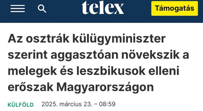 Az osztrák külügyminiszter az ausztriai melegekért aggódott, nem Magyarországot bírálta