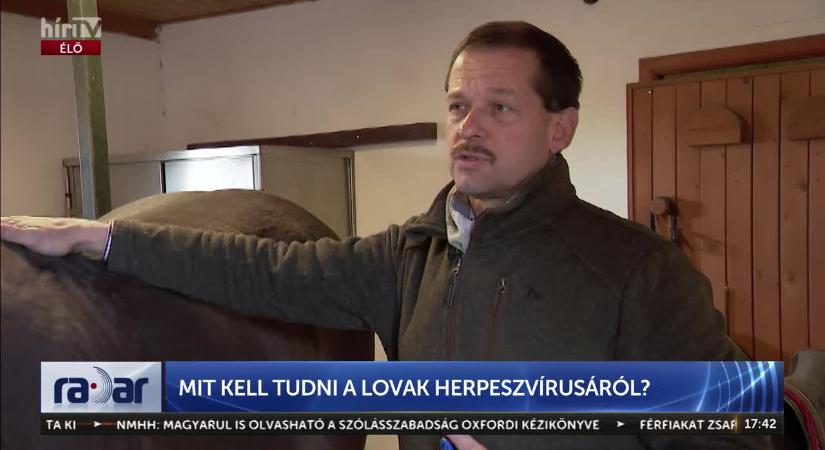 Radar - Amit tudni érdemes a lovak herpeszvírusáról  videó