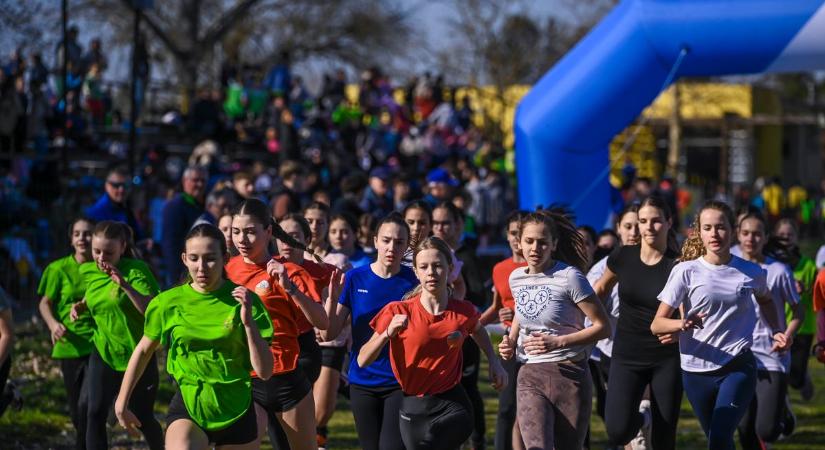 Taroltak a tolnai futók az idősebb korosztályokban (fotókkal)