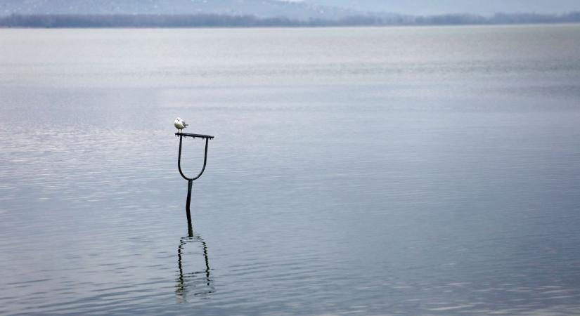 Rejtett halálcsapdák a Balatonban: életveszélyes karókat szednek ki a vízből