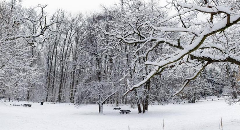 Fehérben ragyog a Normafa, csodás látványt nyújt a hóval borított kirándulóhely - Fotók