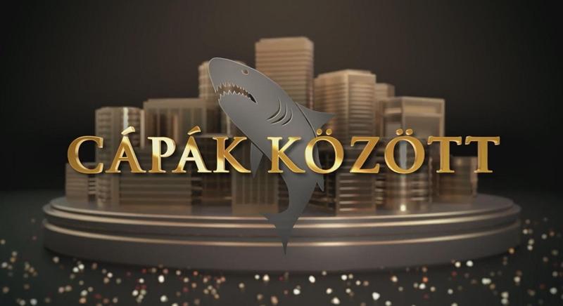 Ilyen még nem volt a Cápák közöttben, óriási versenyt úsztak az egyik üzletért