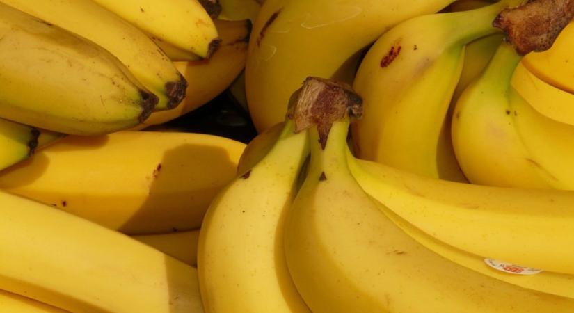 Egzotikus potyautas lapult a banánok között