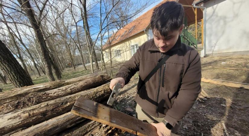 Új életet kaptak a már nem használt faanyagok, madárodúként éledtek újra
