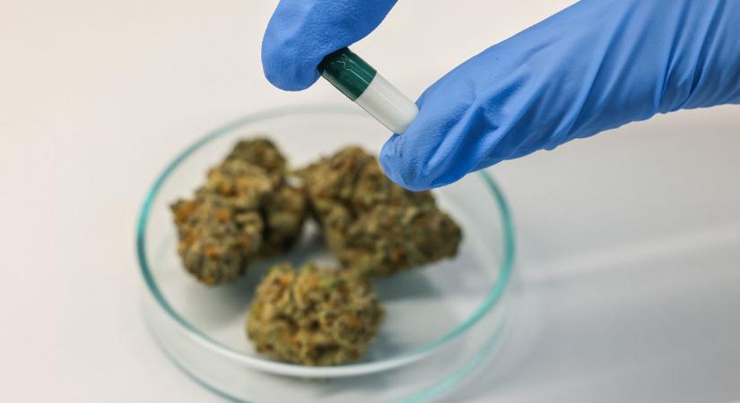 Müller Cecília zárva tartja a kábítószeres szekrényt