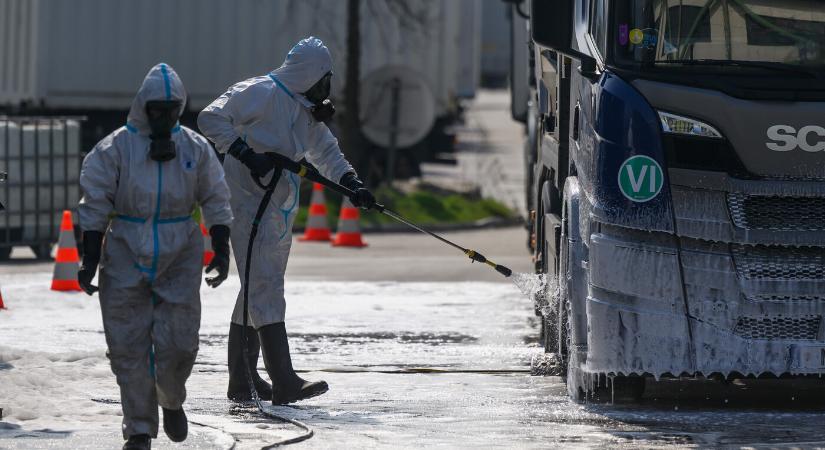 Hazatérnek a száj- és körömfájás elleni védekezésben segítő osztrák katonák