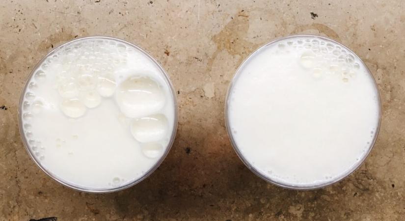 Élesztőből készülhet a teljesen vegán tej