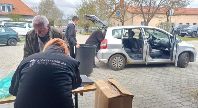 Újabb állomásához érkezett a Virágos Székesfehérvár pályázat