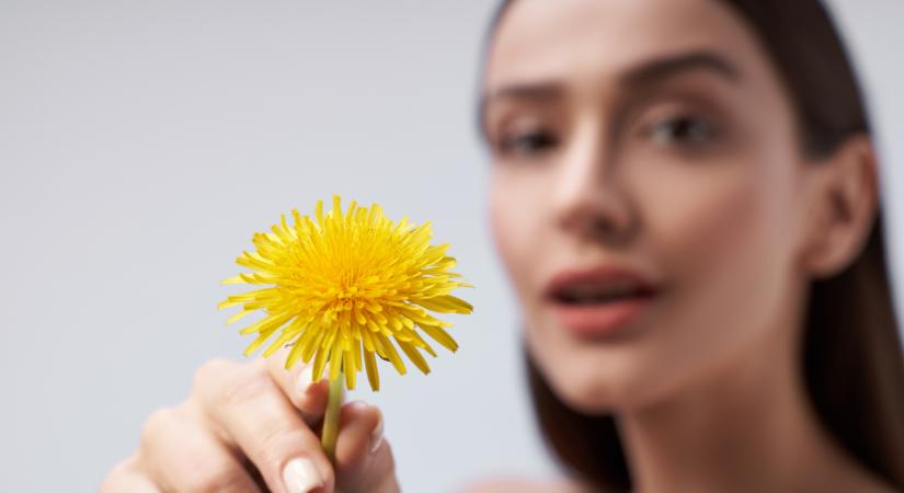Gyomnövénynek hiszed, pedig bőrszépítő csodaszer: a pitypang tele van antioxidánssal