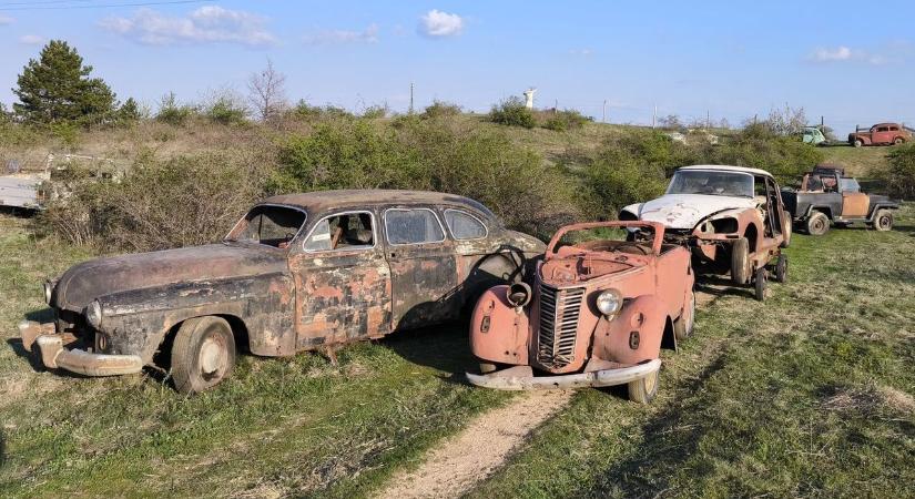 Elhagyatott oldtimer roncsok áznak magányosan a Nadapi-réten